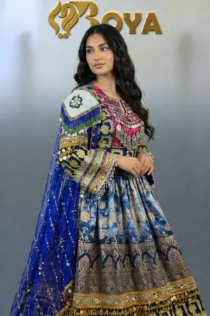 Lailo Kochi Dress